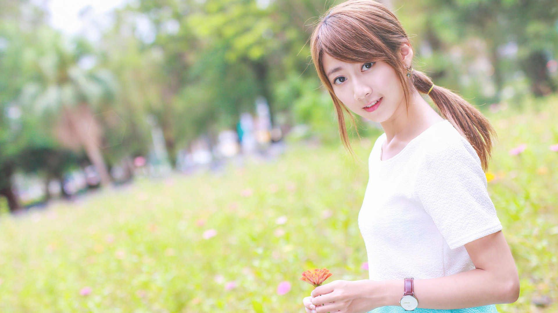 慢屋日记 封面